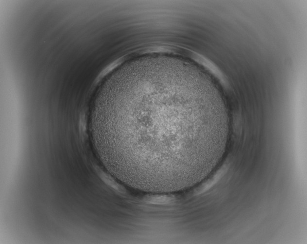 X0000115440826200911121121