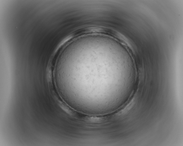 X0000115440827200911121121
