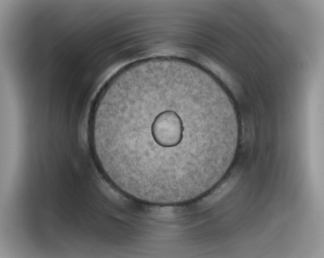 X0000115440828200911121121