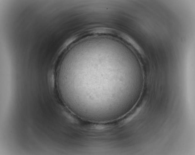 X0000115440829200911121121