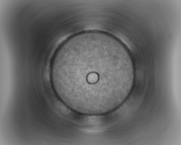 X0000115440832200911121121
