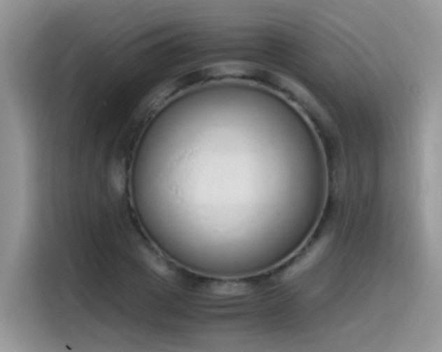 X0000115440833200911121121