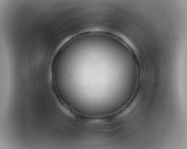 X0000115440837200911121121