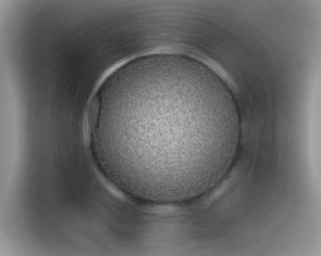 X0000115440838200911121121