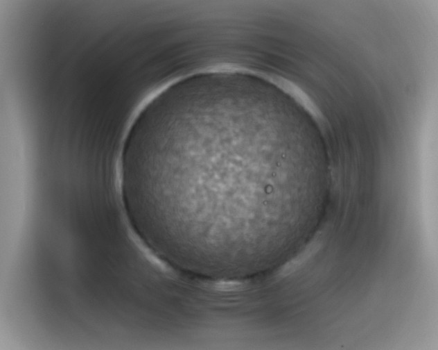 X0000115440839200911121121