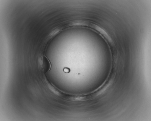 X0000115440841200911121121