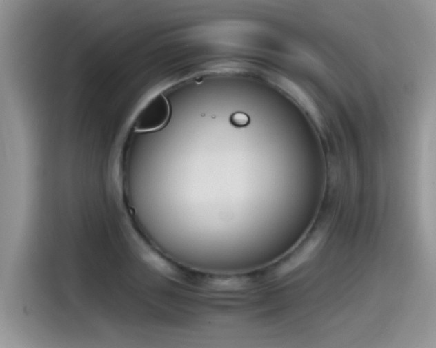 X0000115440843200911121121