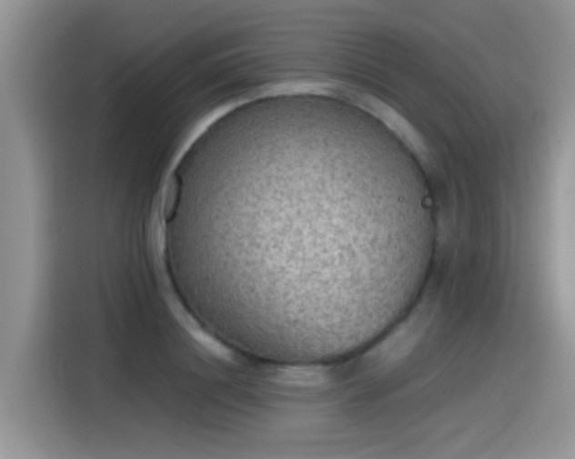 X0000115440844200911121121