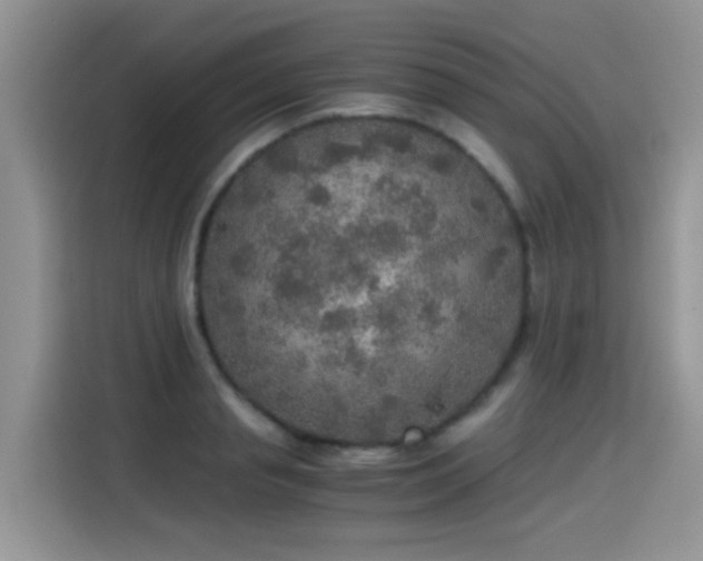 X0000115440845200911121122