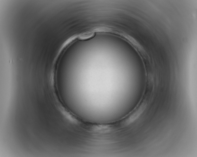 X0000115440846200911121122