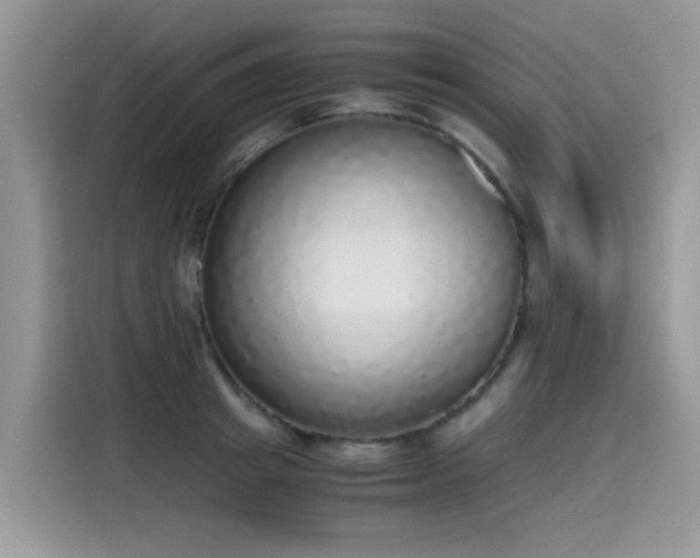 X0000115440849200911121122