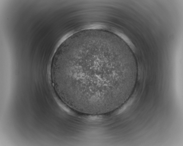 X0000115440850200911121122