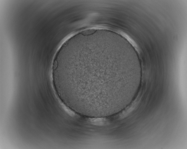 X0000115440853200911121122