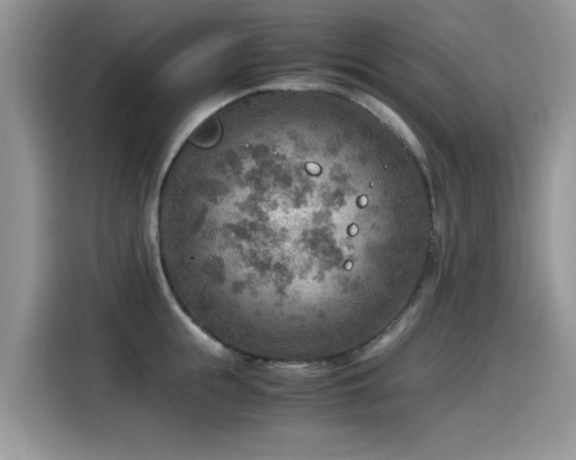 X0000115440855200911121122