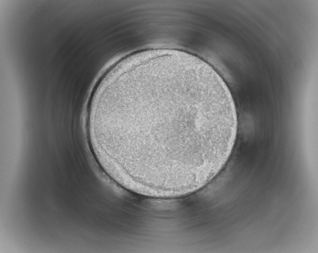 X0000115440856200911121122