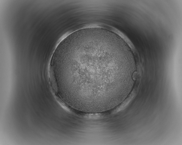 X0000115440858200911121122