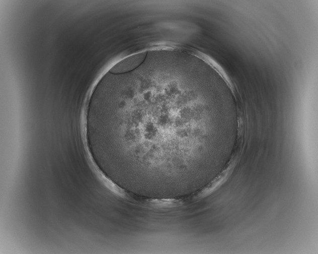X0000115440859200911121122