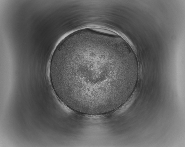 X0000115440862200911121122