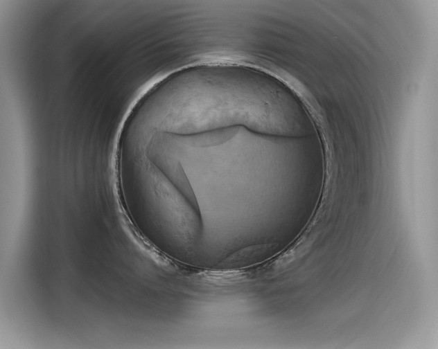 X0000115440864200911121122