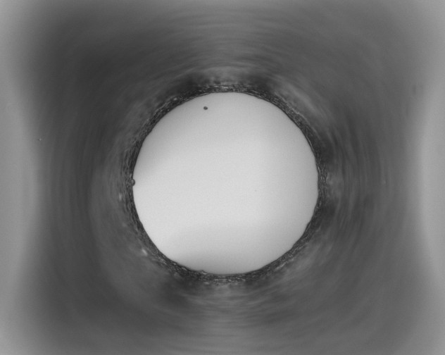 X0000115440865200911121121