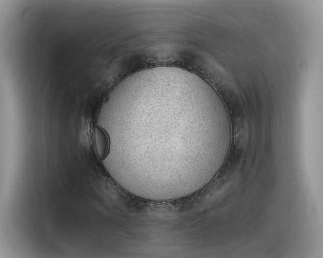 X0000115440866200911121121