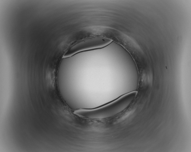 X0000115440868200911121121