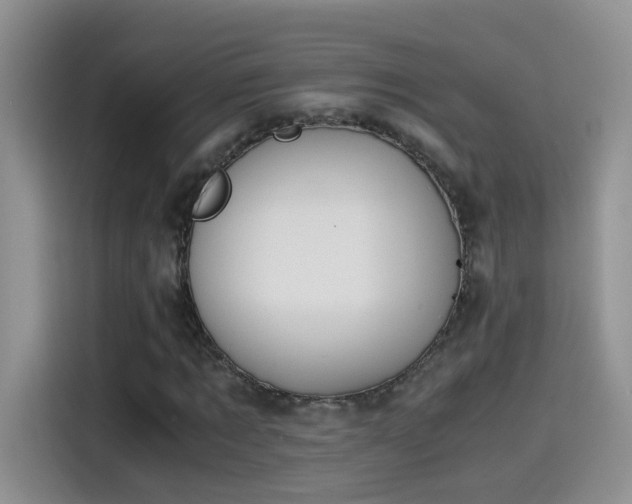 X0000115440869200911121121