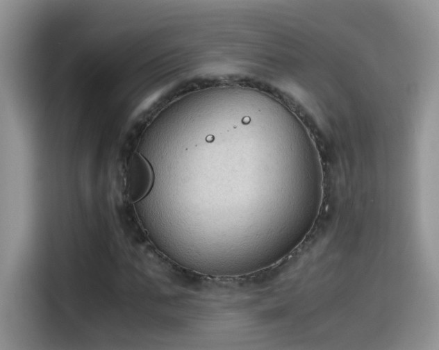 X0000115440871200911121121
