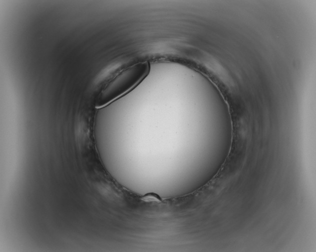 X0000115440872200911121121