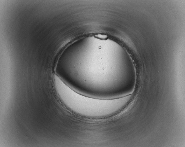 X0000115440873200911121121