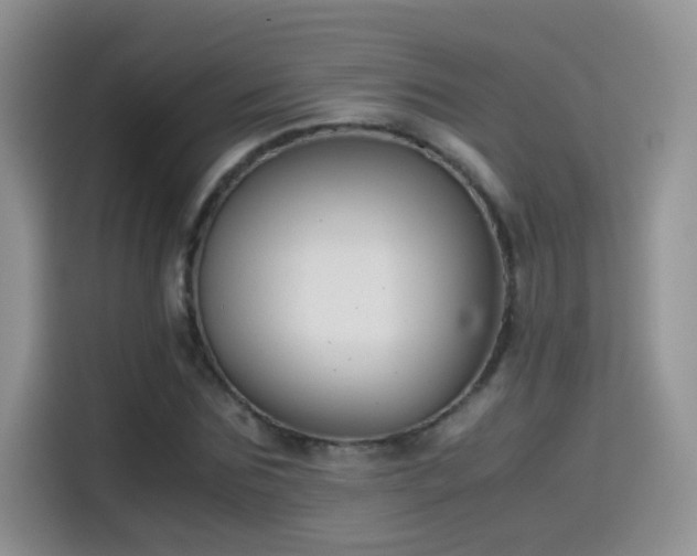 X0000115440875200911121121