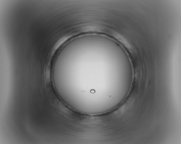 X0000115440877200911121121