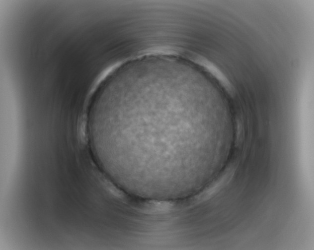 X0000115440878200911121121