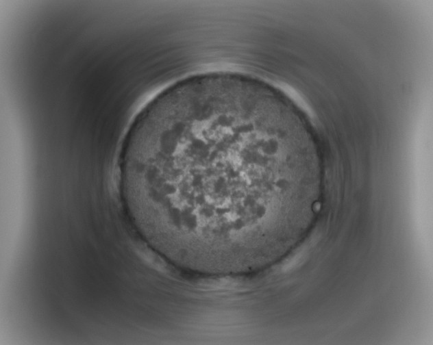 X0000115440879200911121121