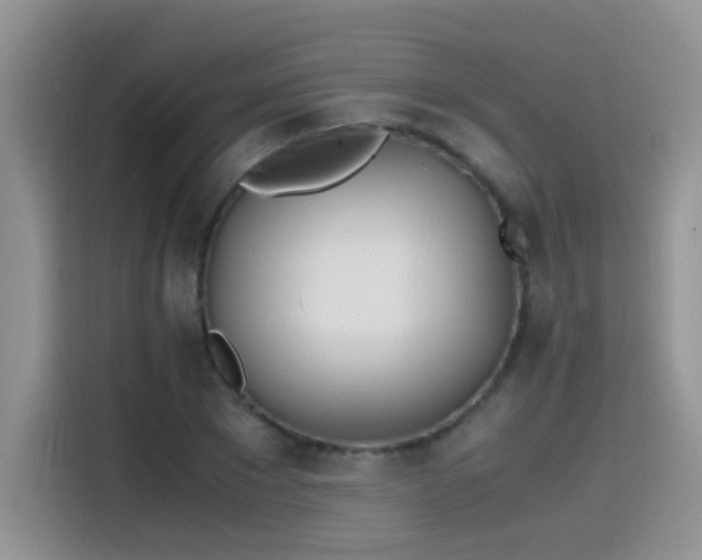 X0000115440881200911121121
