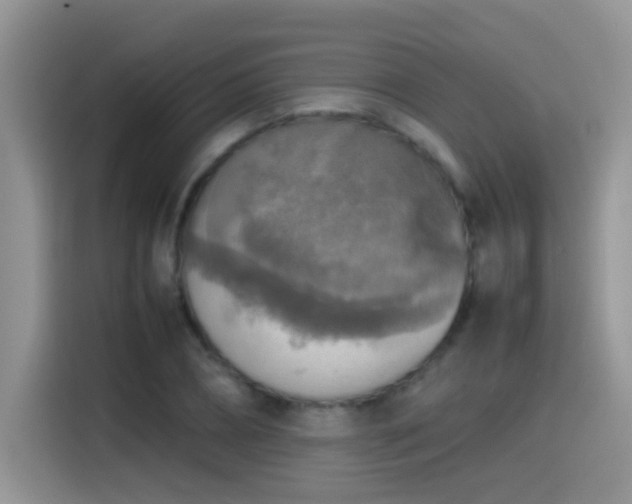X0000115440882200911121121