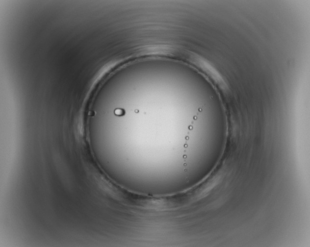 X0000115440883200911121121