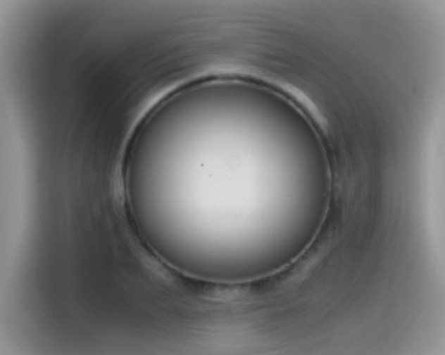 X0000115440887200911121121