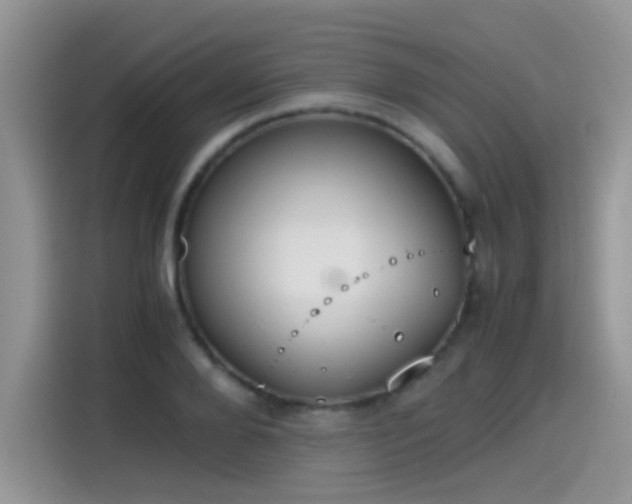 X0000115440888200911121121