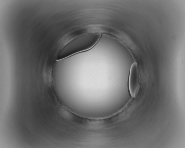X0000115440889200911121121