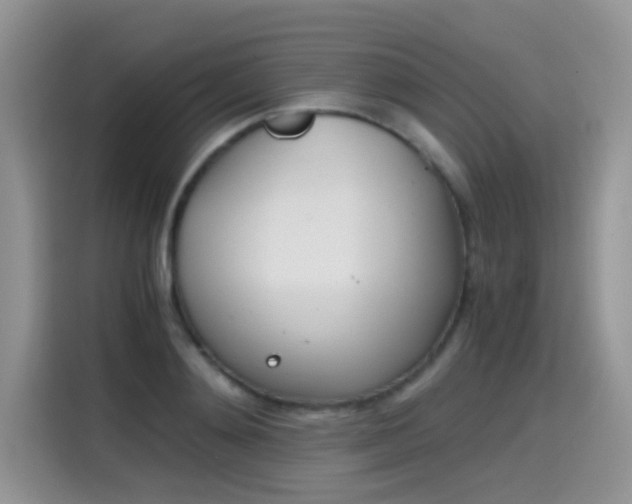 X0000115440892200911121121