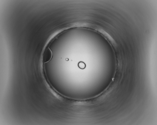 X0000115440894200911121121