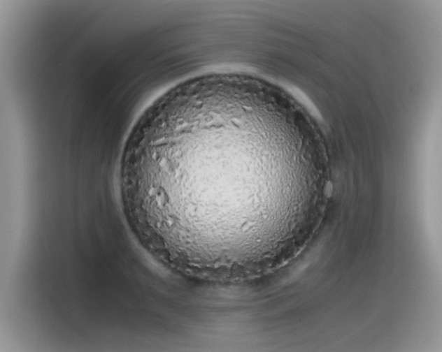 X0000115440895200911121121