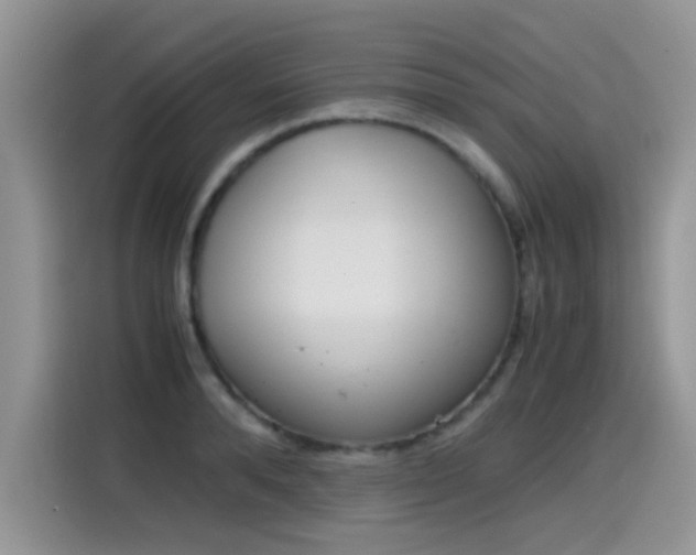 X0000115440896200911121121