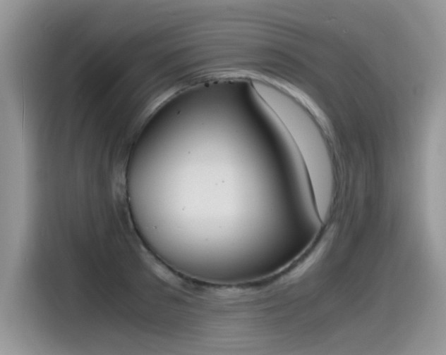 X0000115440897200911121121