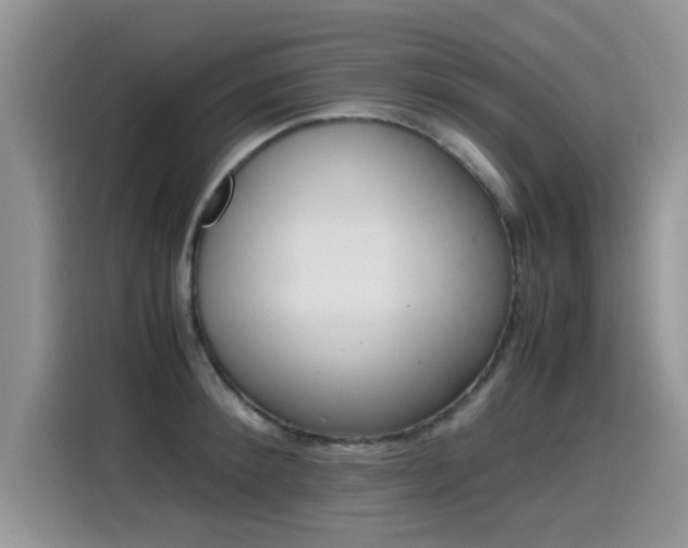 X0000115440900200911121121