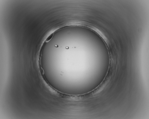 X0000115440901200911121121