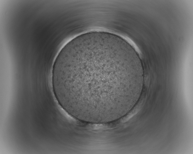X0000115440903200911121121