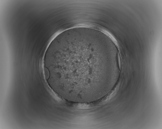 X0000115440907200911121121