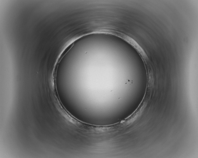 X0000115440908200911121121